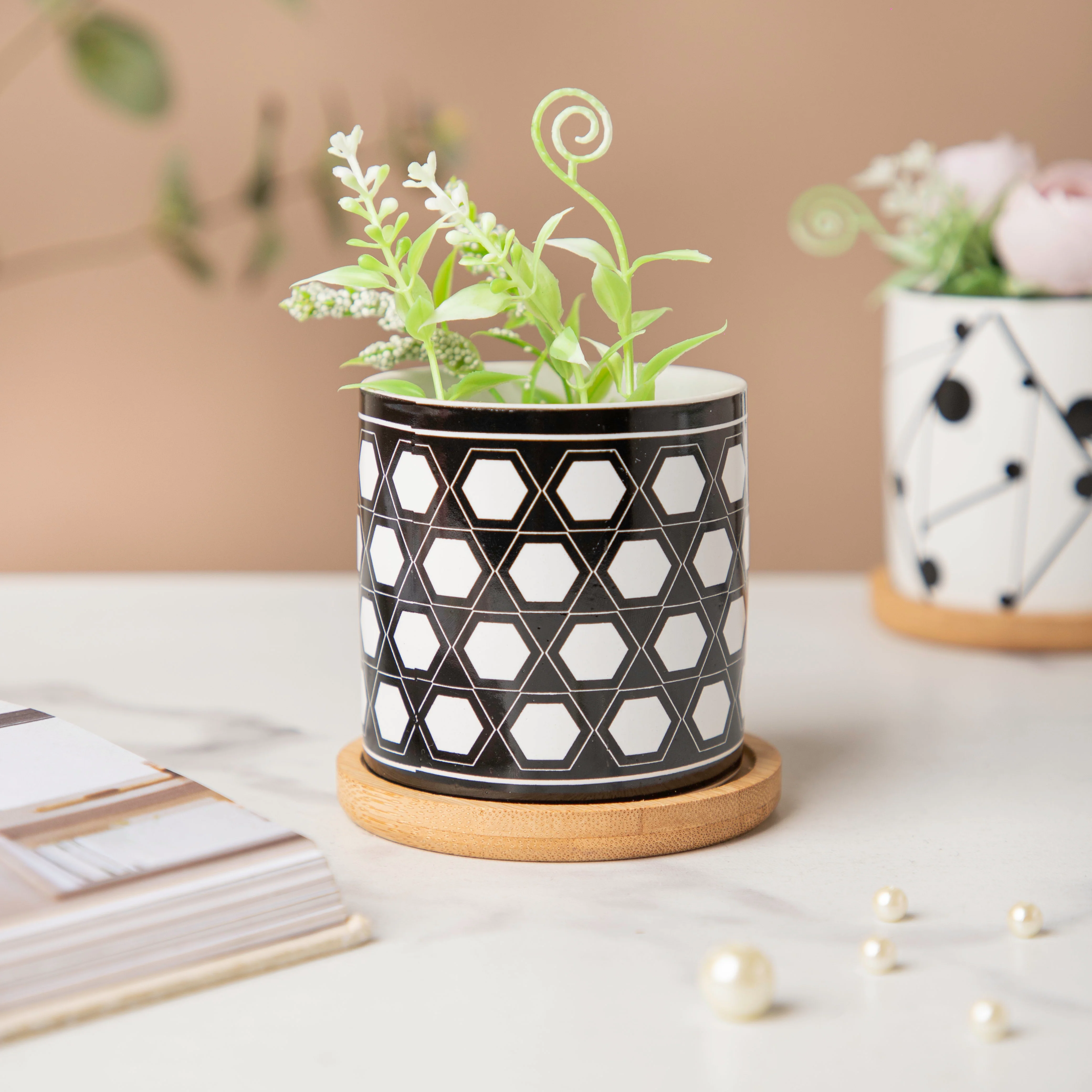 Twyla Hive Black White Planter With Wooden Coaster - Image 3