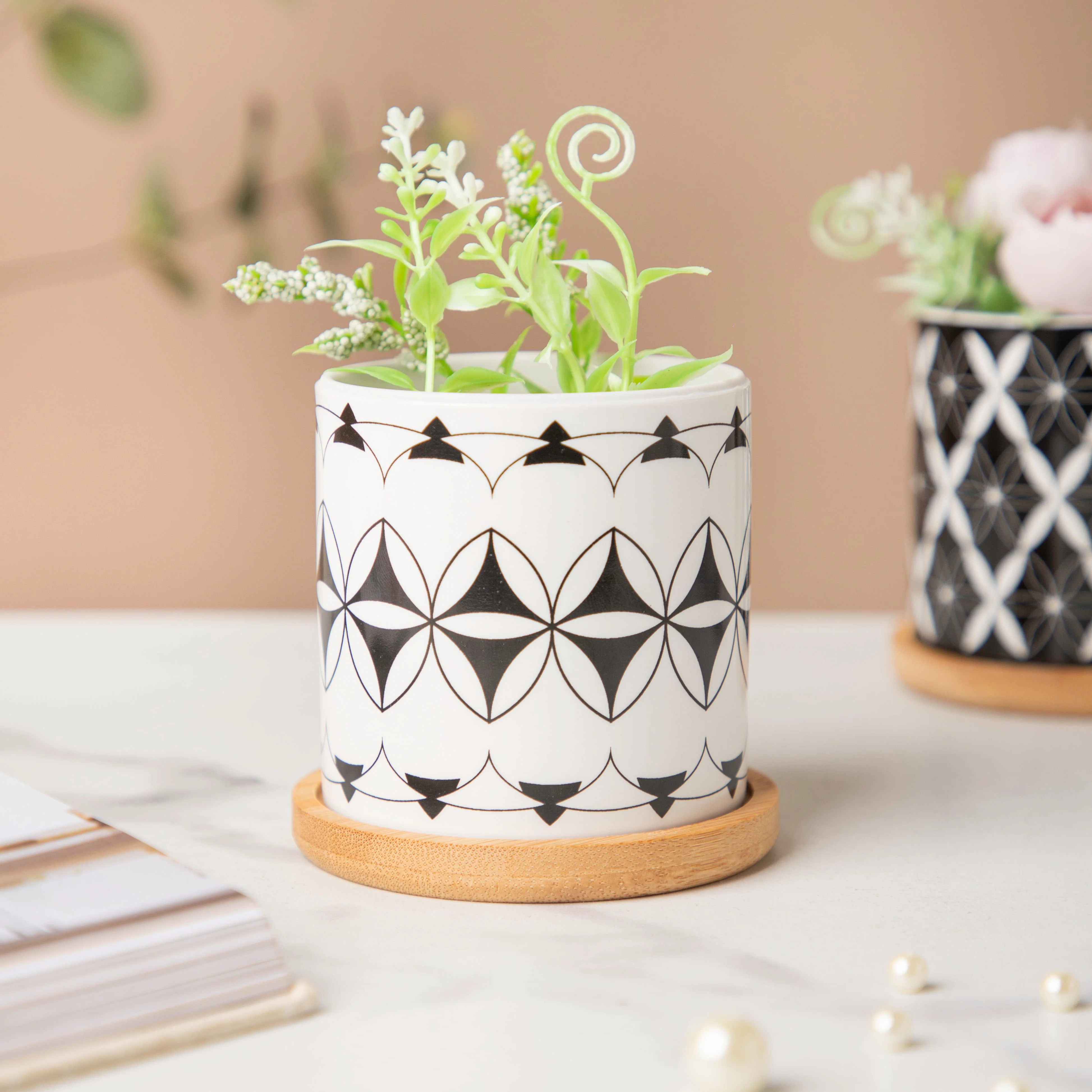 Twyla Magic Black White Planter With Wooden Coaster - Image 3