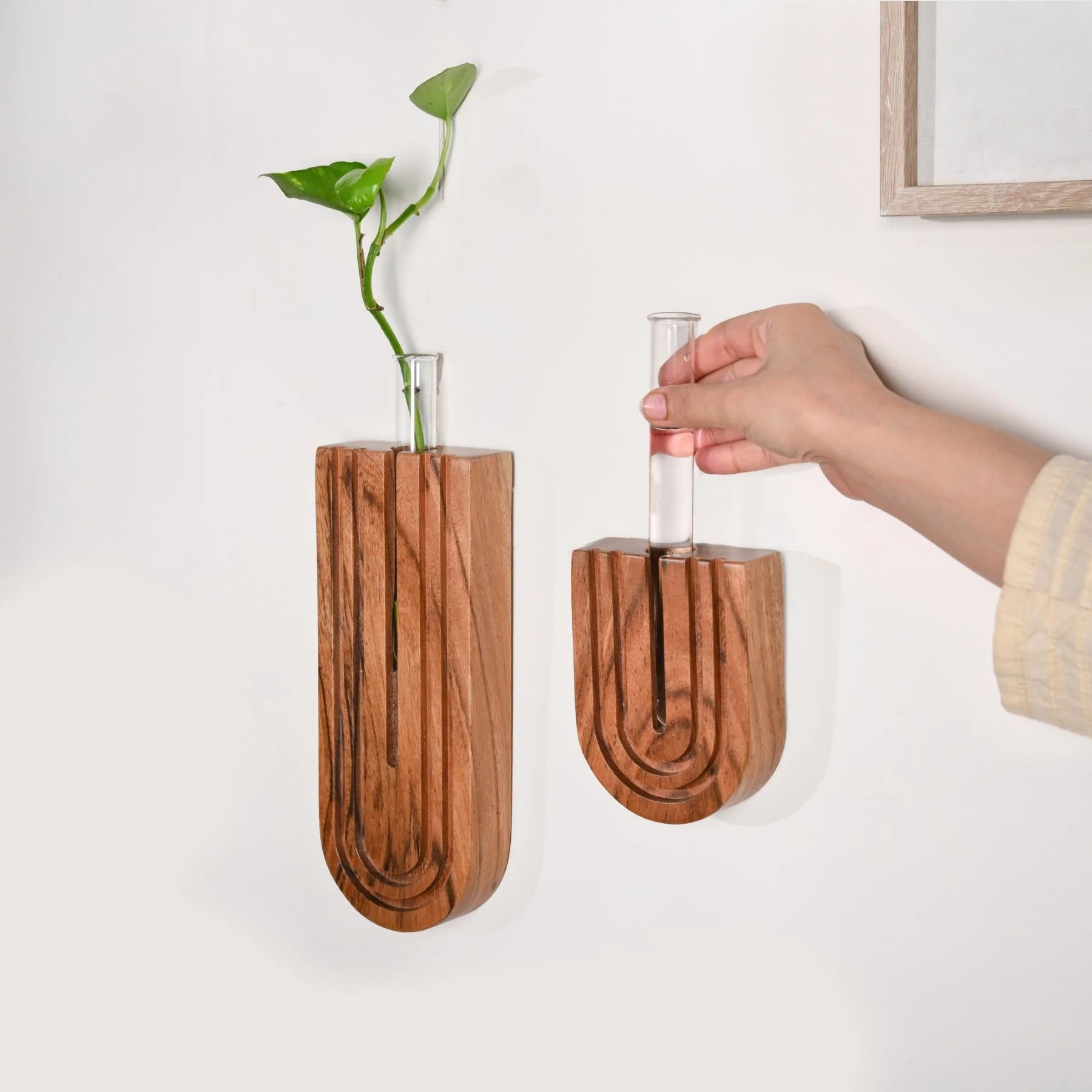 U Shaped Hydroponic Test Tube Wall Planter Set Of 2 - Image 2
