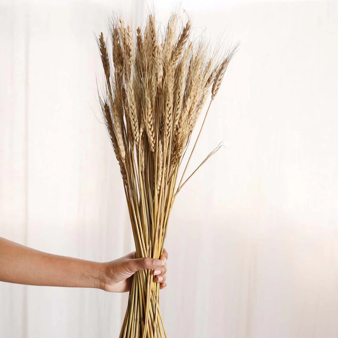 Wheat Bunch - Image 2