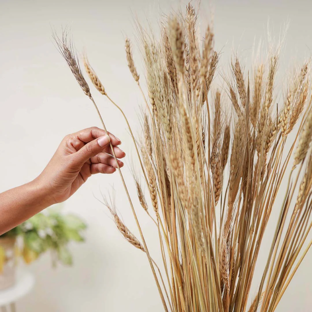 Wheat Bunch - Image 3