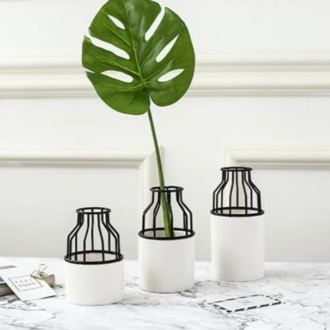 White Black Vase