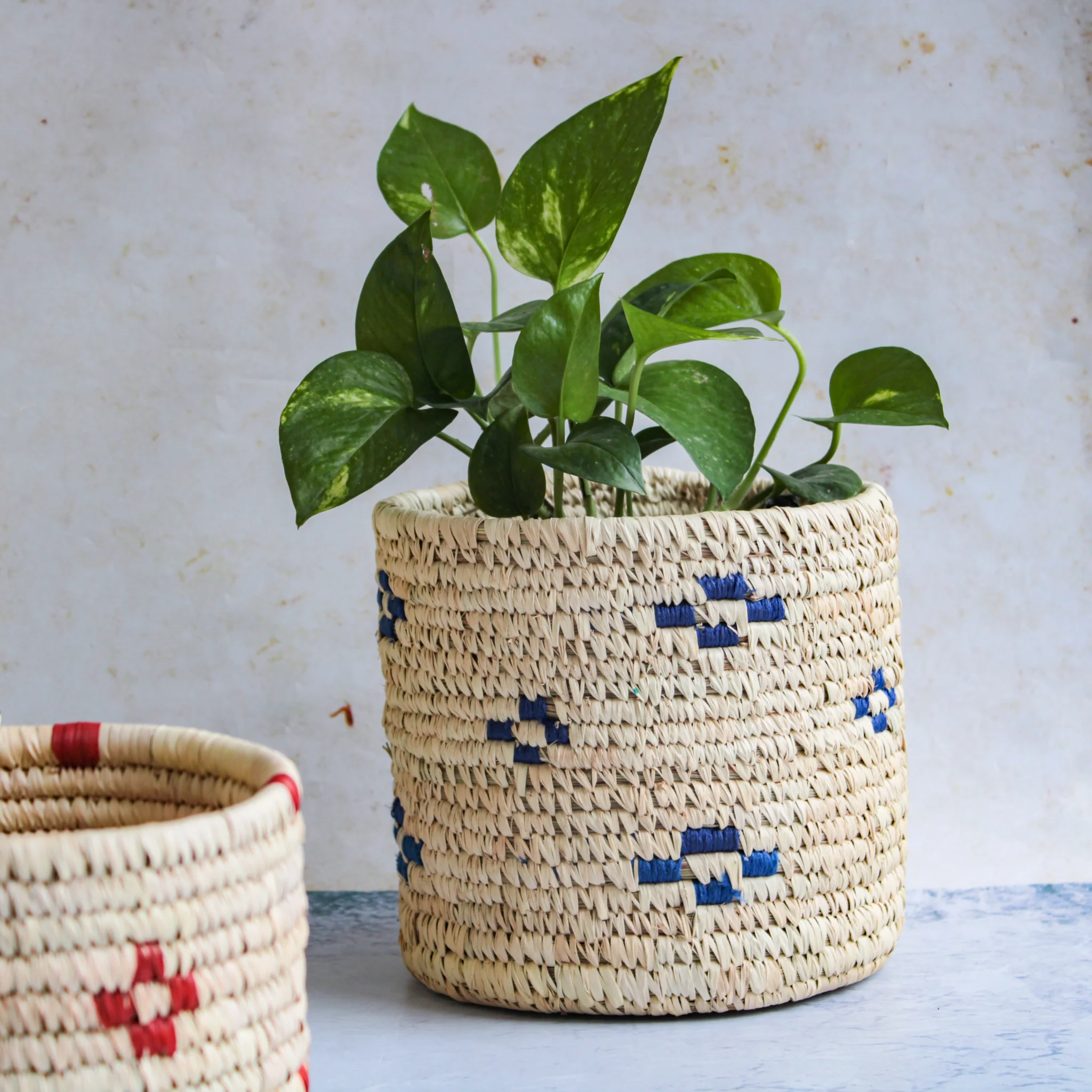 Wicker Planter Set of 3 - Image 10
