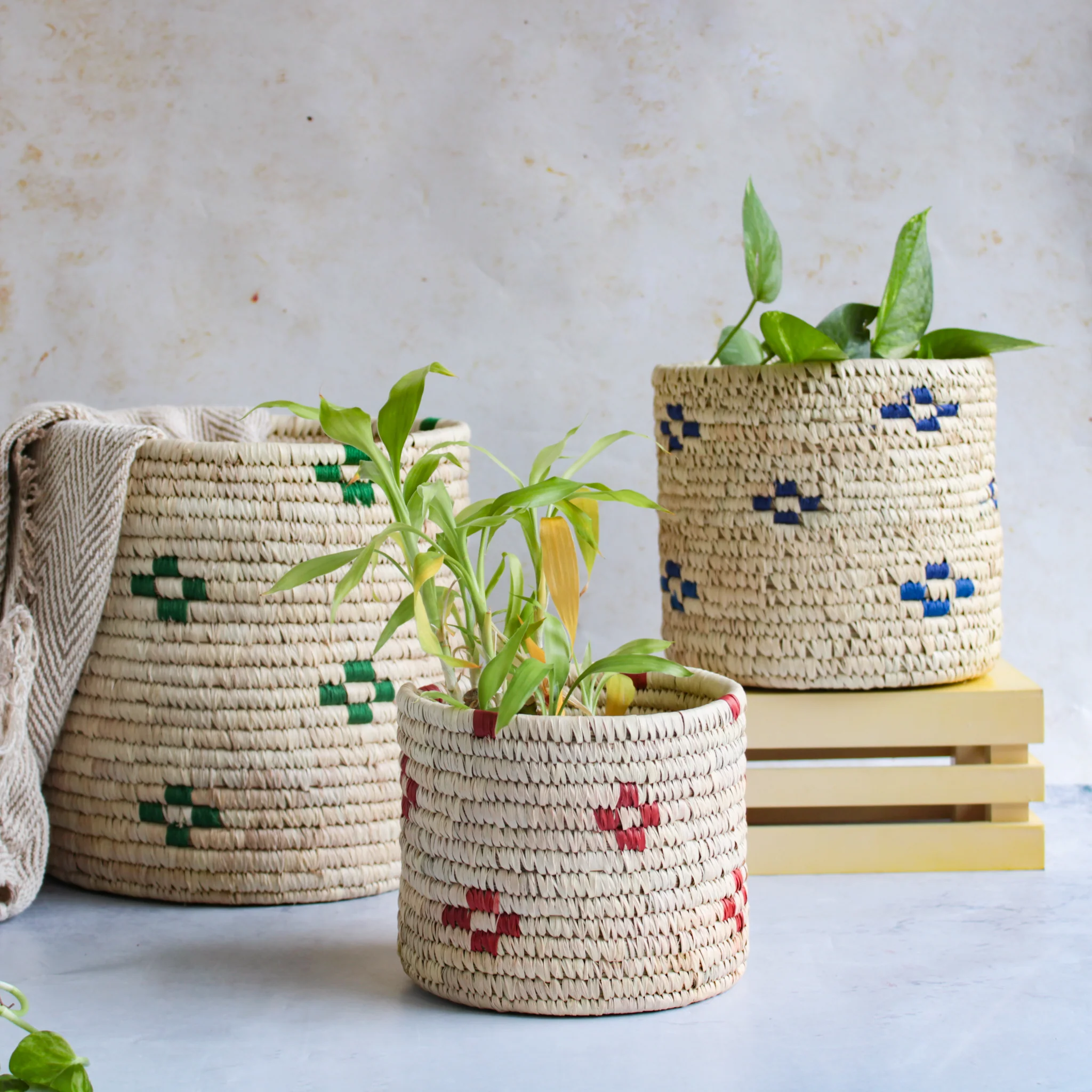 Wicker Planter Set of 3 - Image 2