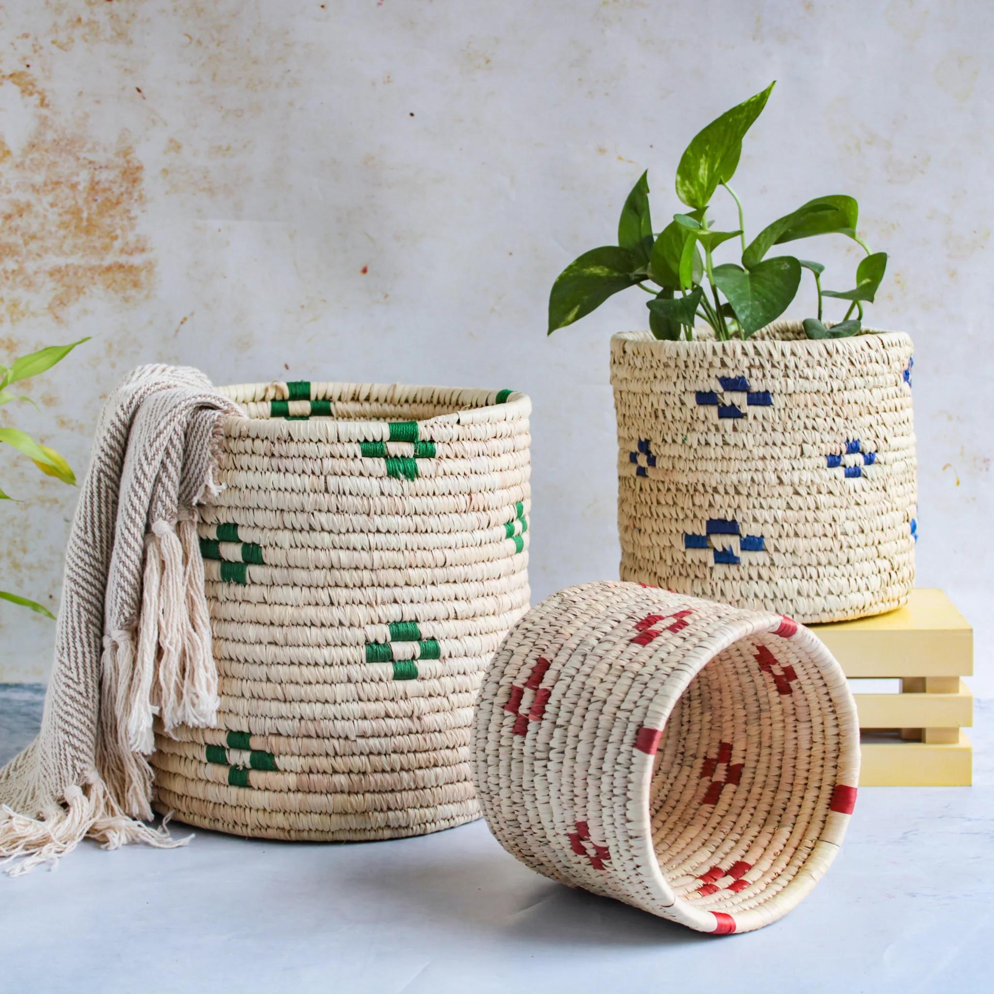 Wicker Planter Set of 3 - Image 4