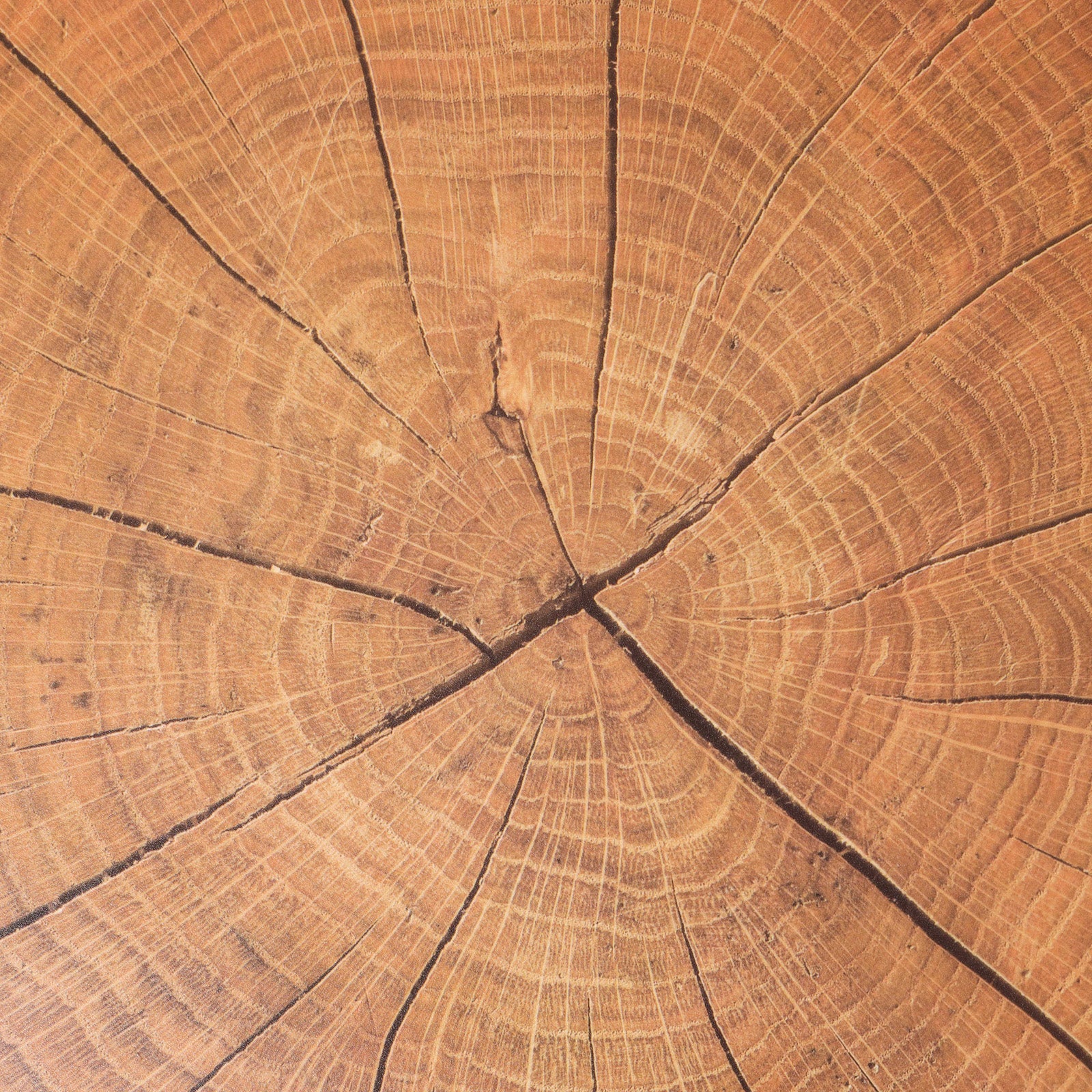 Wood Table Mat Set of 6 - Image 4