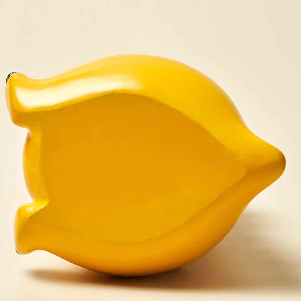 Yellow Dino Decor - Image 4